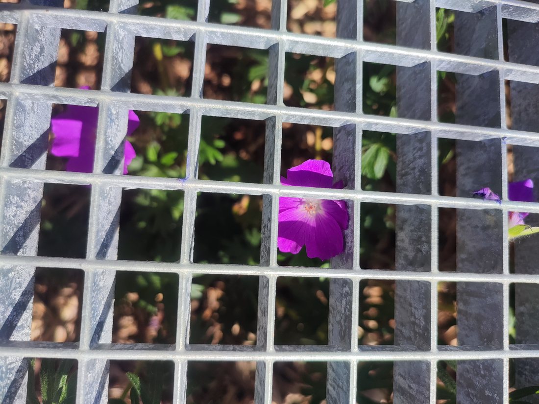 Le patio — photo 1