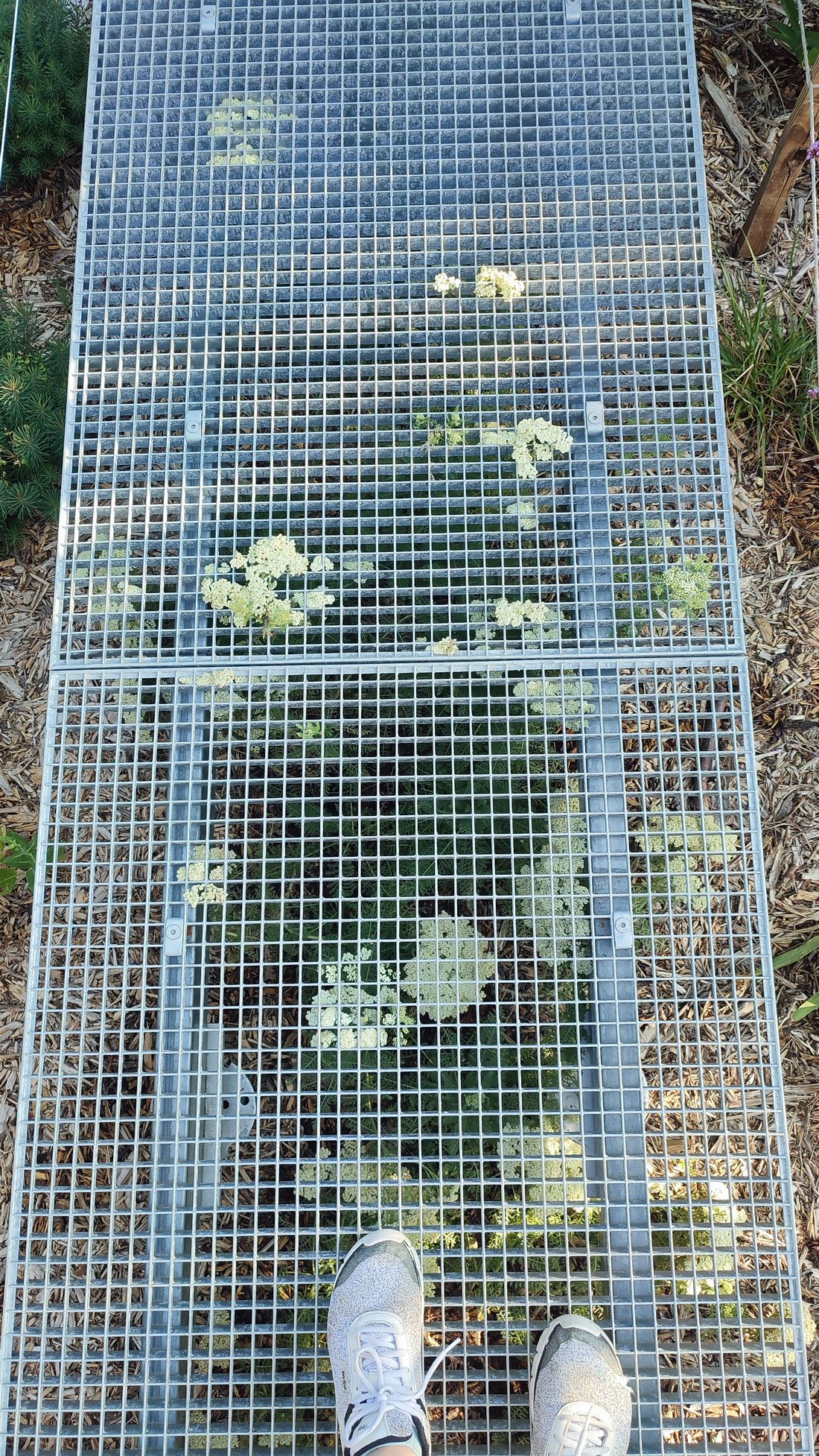 Le patio — photo 6