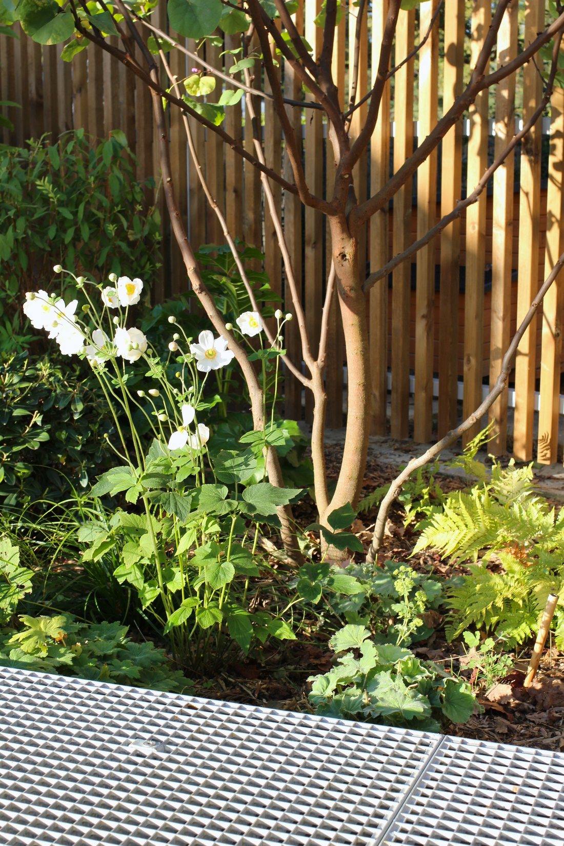 Le patio — photo 12