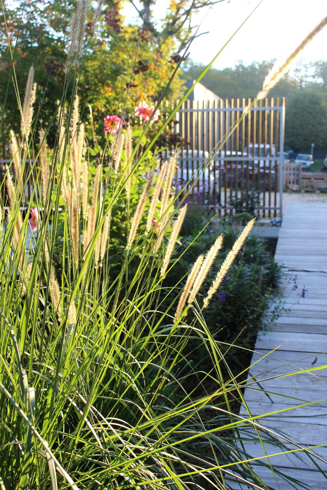 Le patio — photo 22