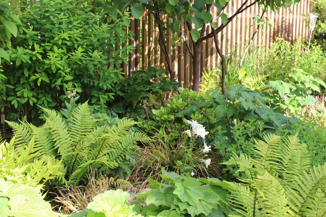 Le patio — photo 26
