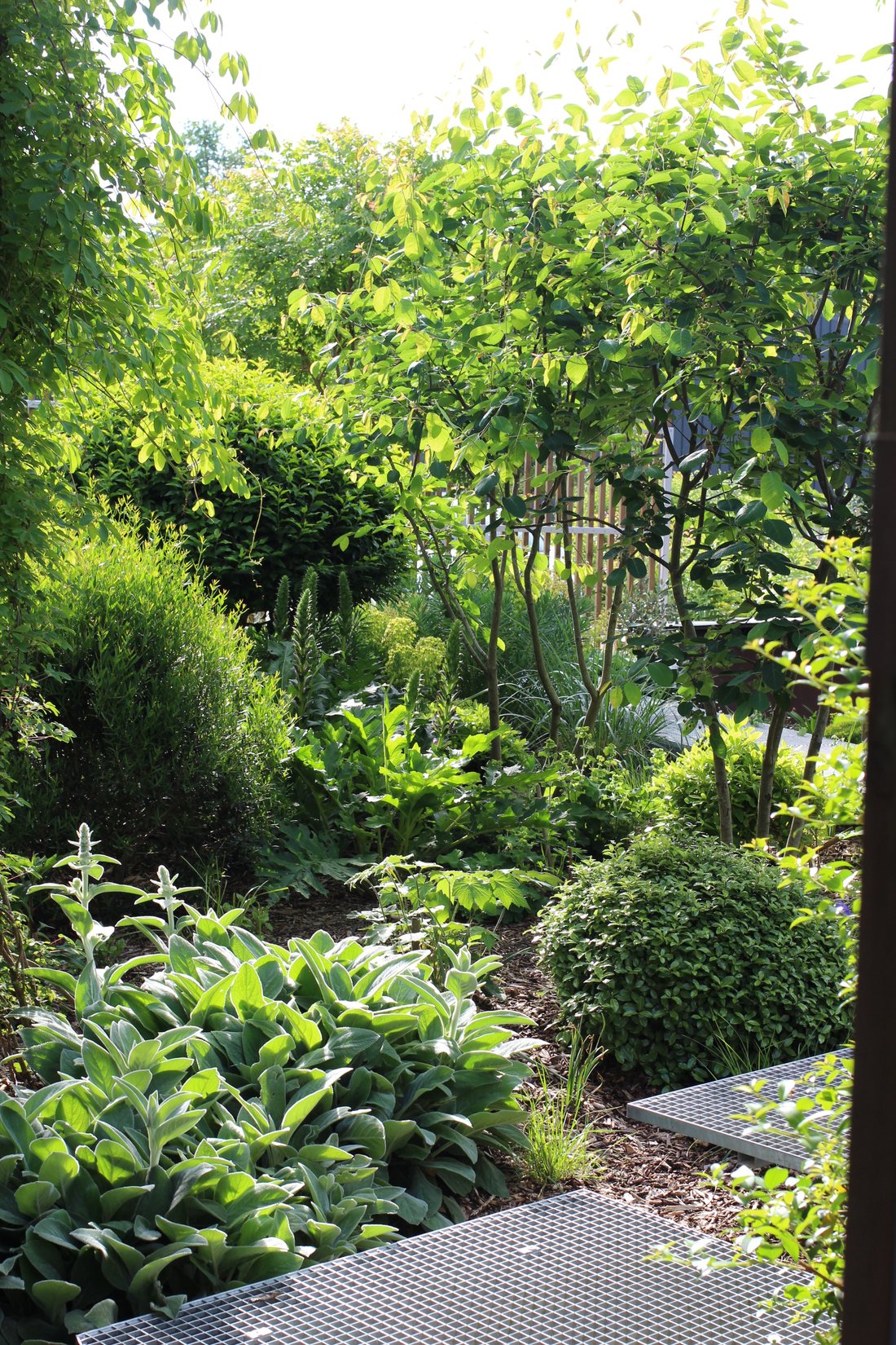 Le patio — photo 27