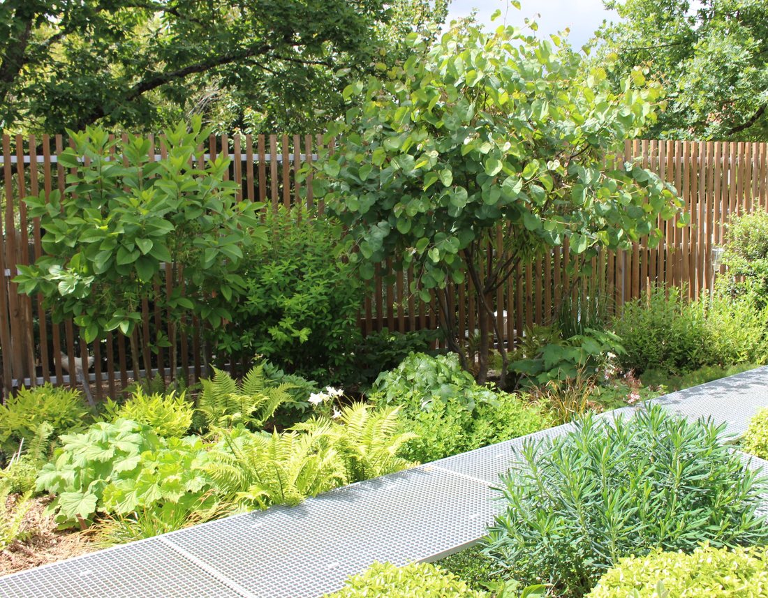 Le patio — photo 32