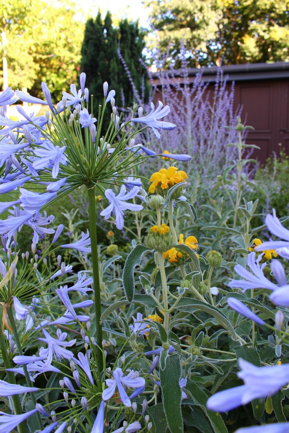Au petit manoir — photo 15