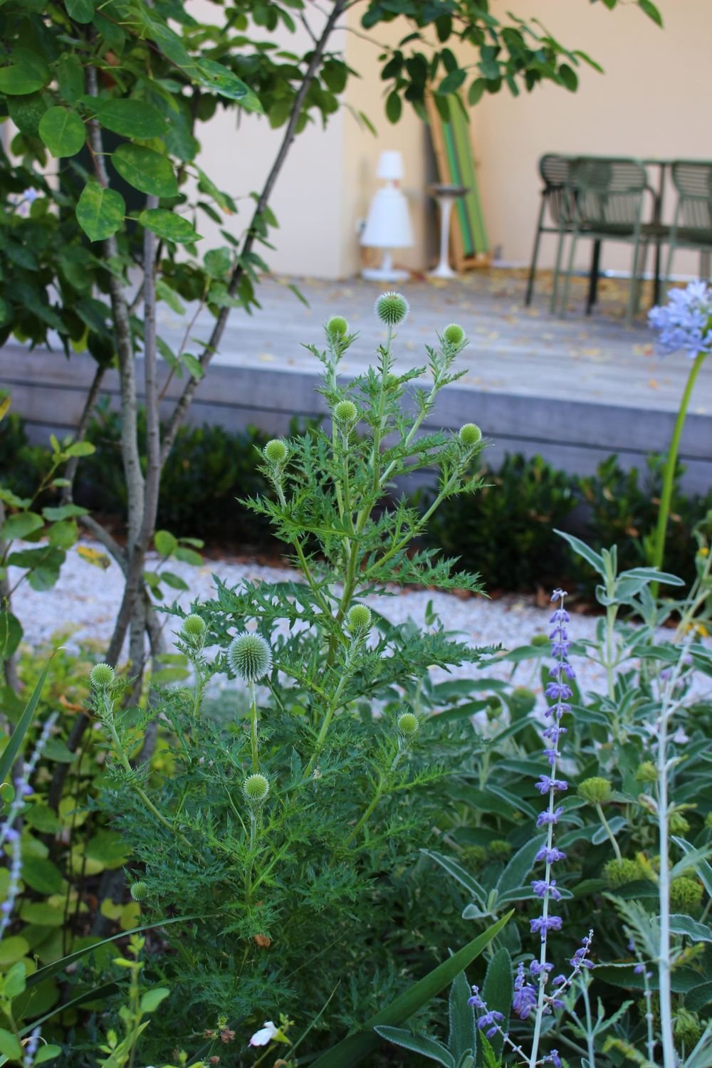 Au petit manoir — photo 16