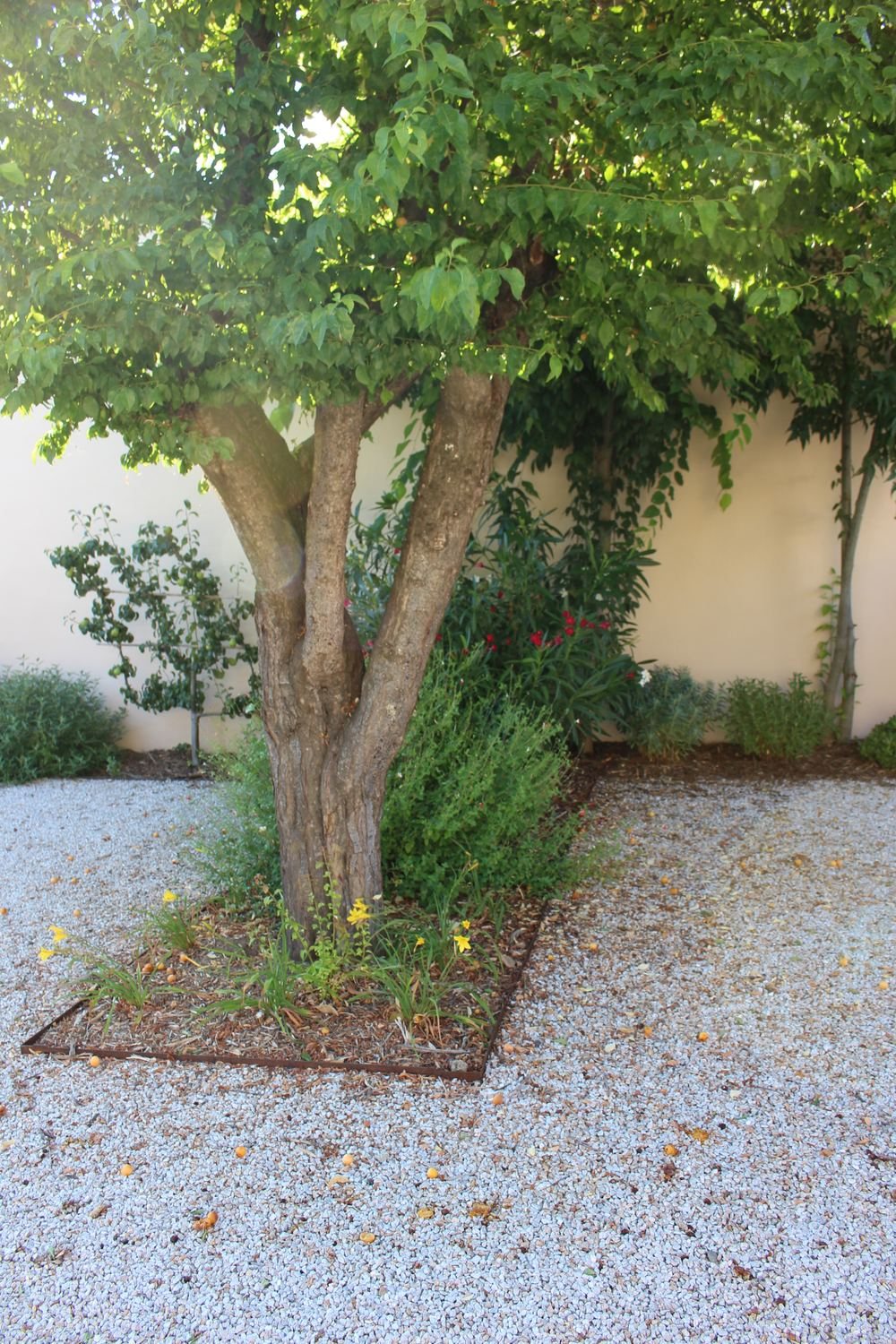 Au petit manoir — photo 17