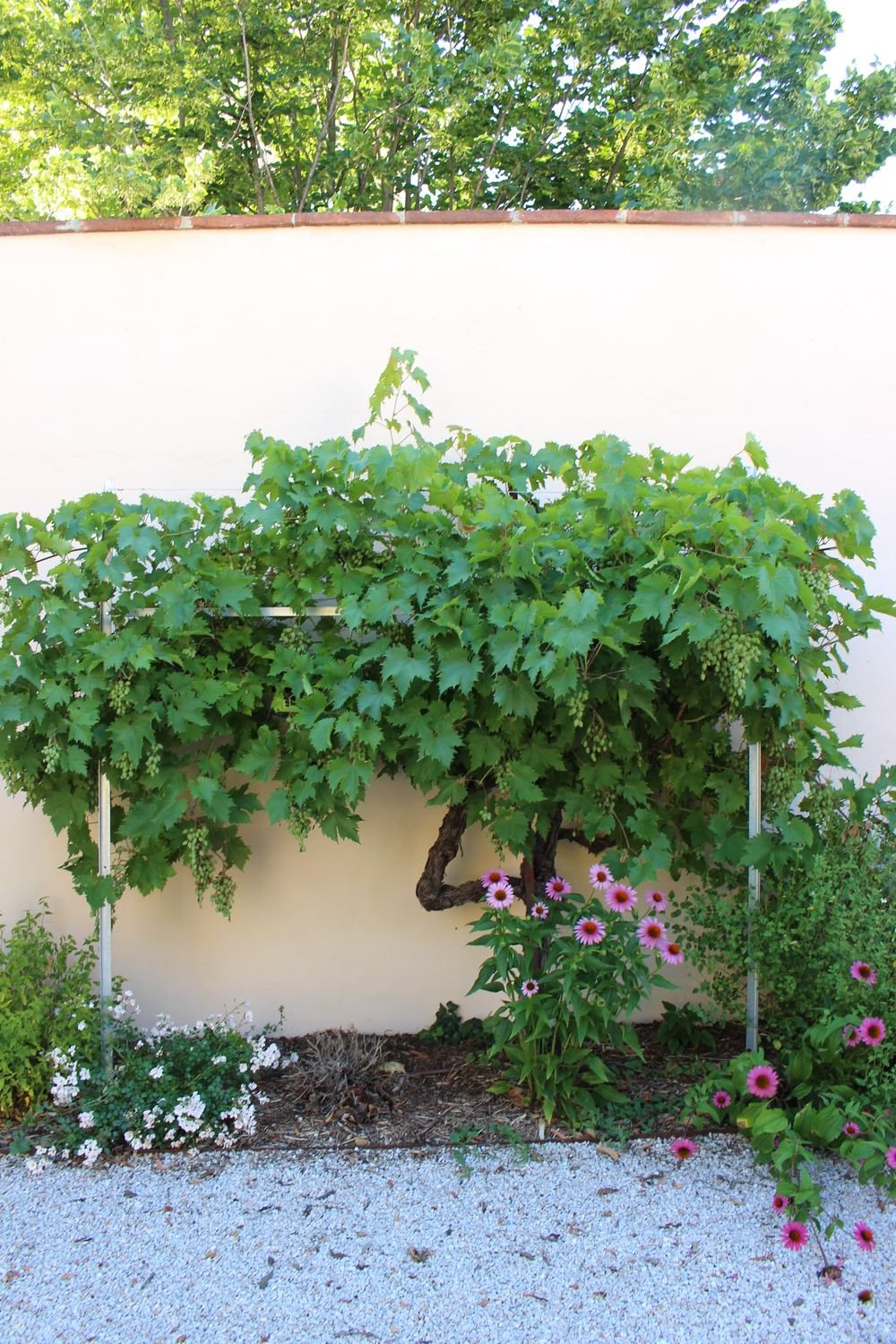 Au petit manoir — photo 19