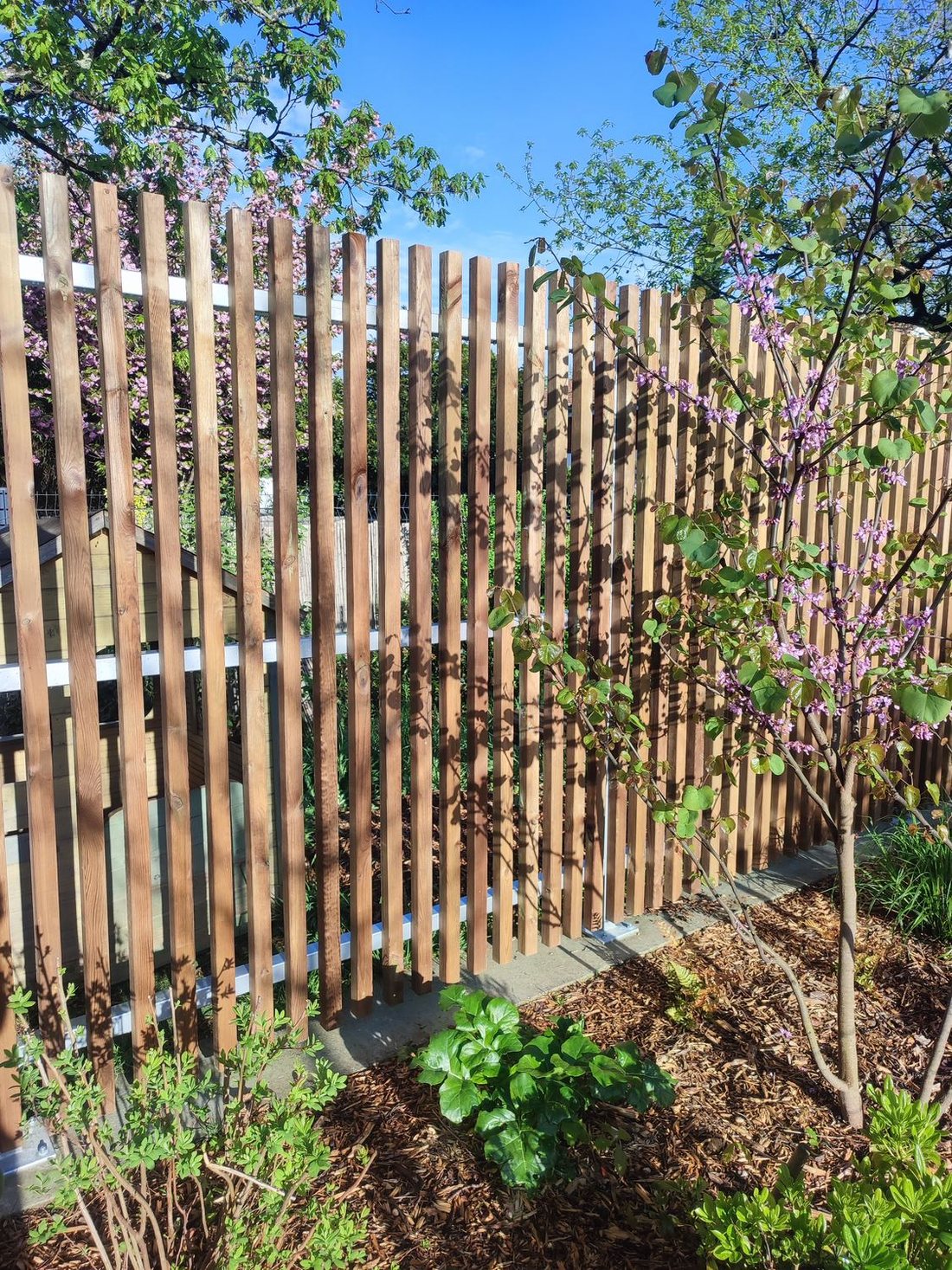 Clôtures et pergola — photo 8
