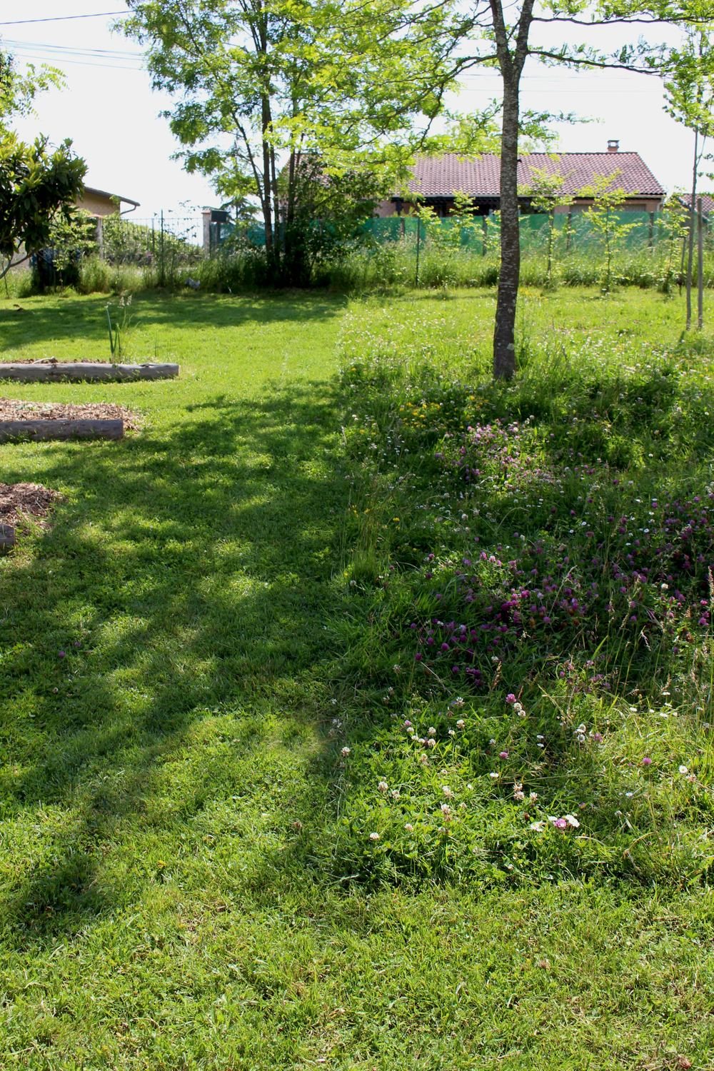 Gazon — photo 9