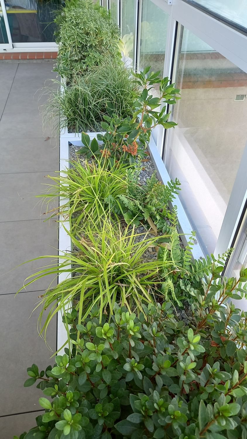 Plantations — photo 4