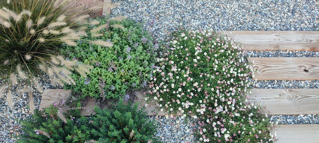 Plantations — photo 12