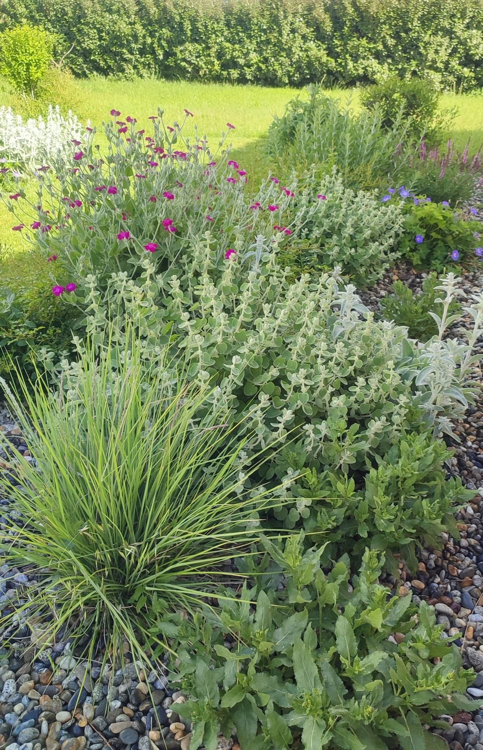 Plantations — photo 13
