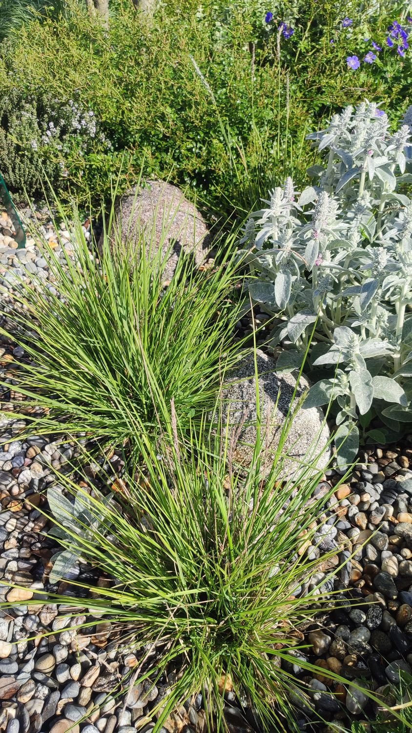 Plantations — photo 14