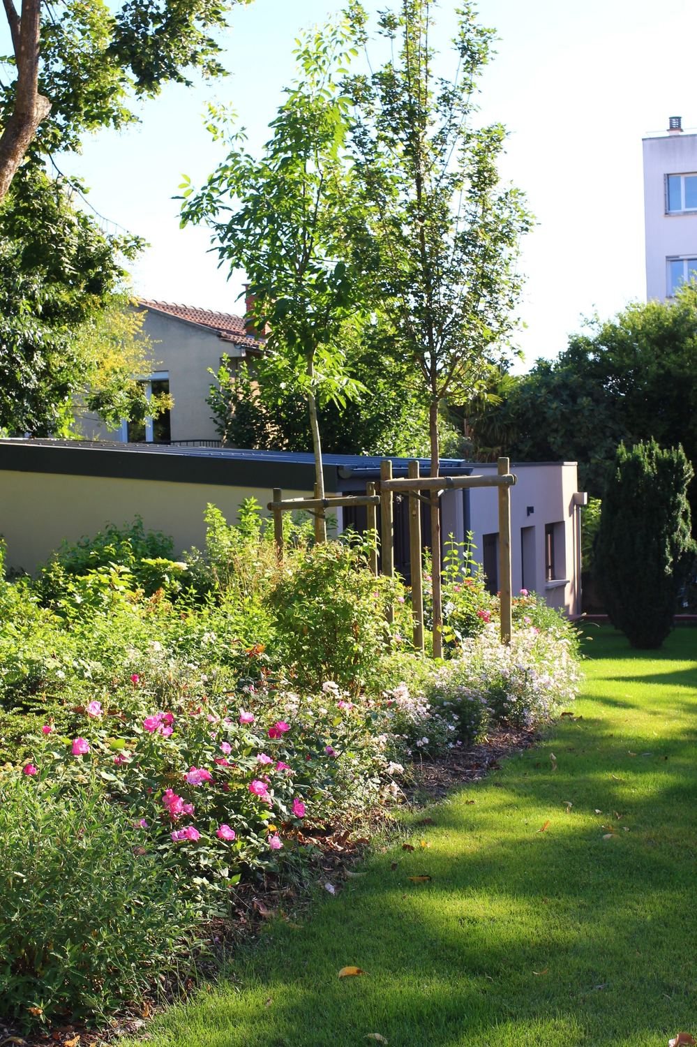 Plantations — photo 15