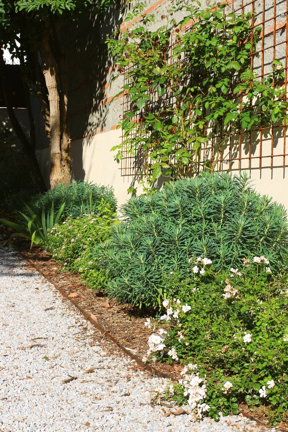 Plantations — photo 16