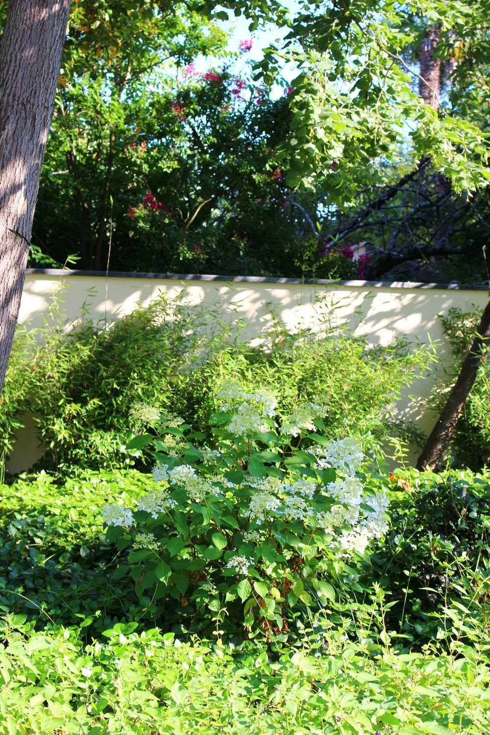 Plantations — photo 17