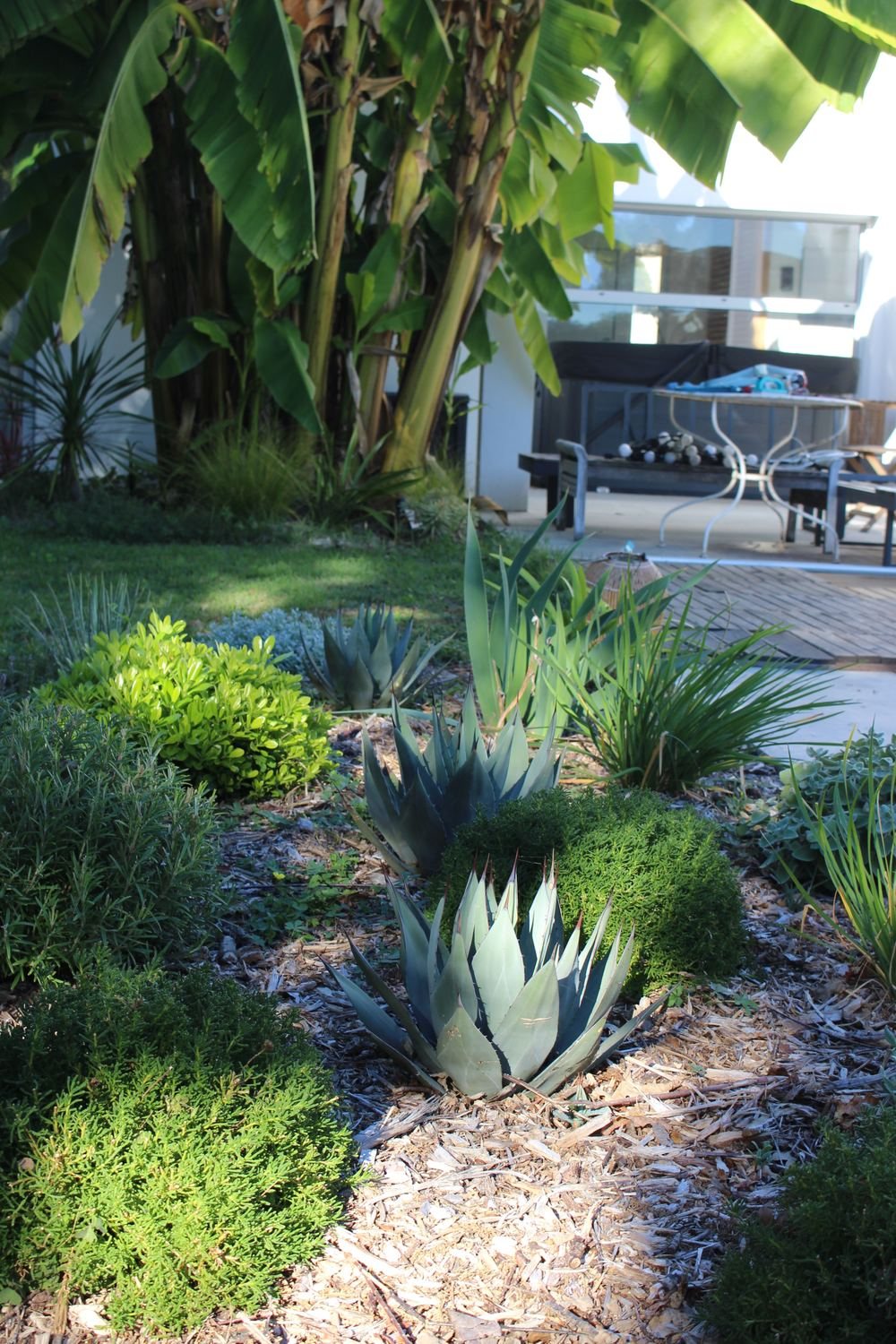 Plantations — photo 21