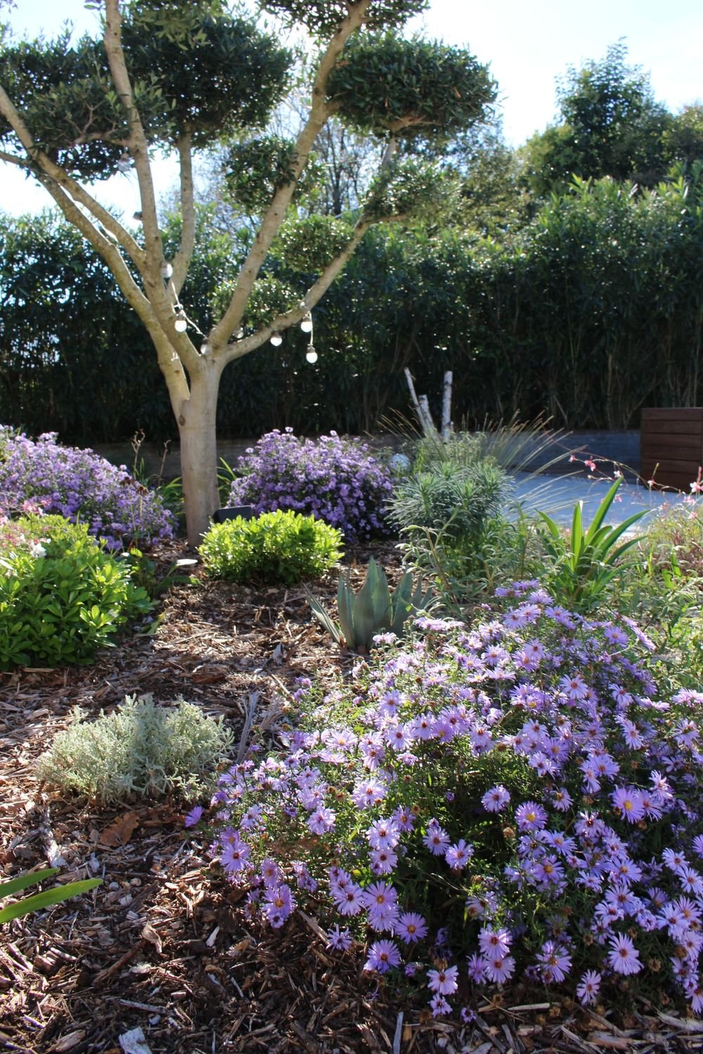 Plantations — photo 22