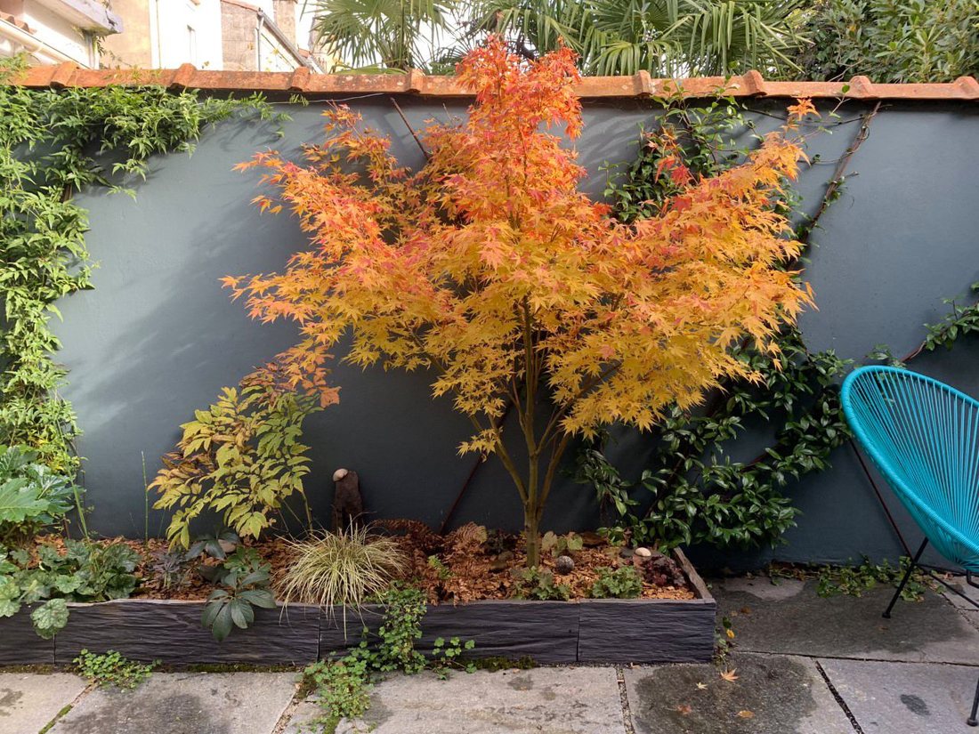 Plantations — photo 28