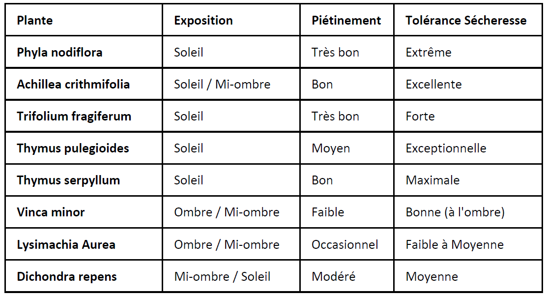 Comparatif-couvre-sols-alternative-gazon