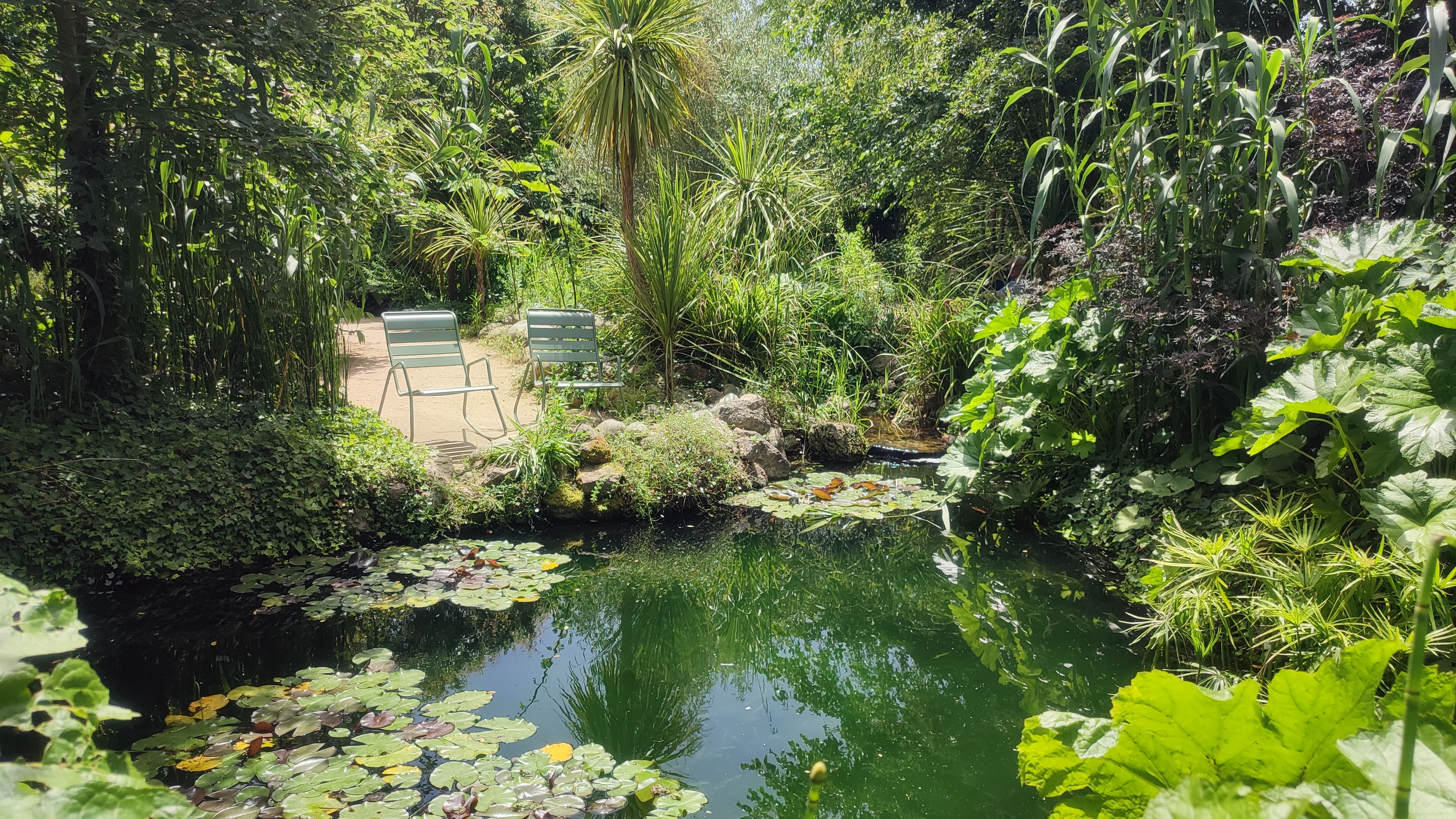 Bassin Jardin permanent